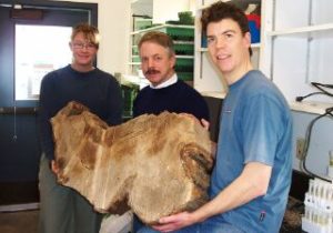 Stewart Rood and Students Holding 500 Year Old Black Cottonwood