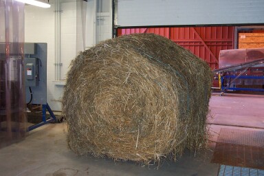 Bale of hemp at Alberta Research Council